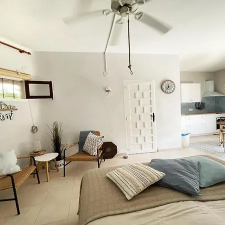 Estudio Andaluz Dénia